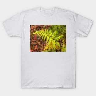 The Fern .. Nature's Awesome Design T-Shirt